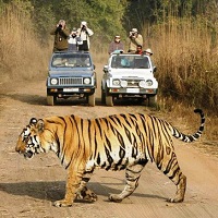 Taxi Service in New Delhi